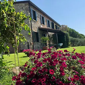 House Petrarca Arquà Petrarca